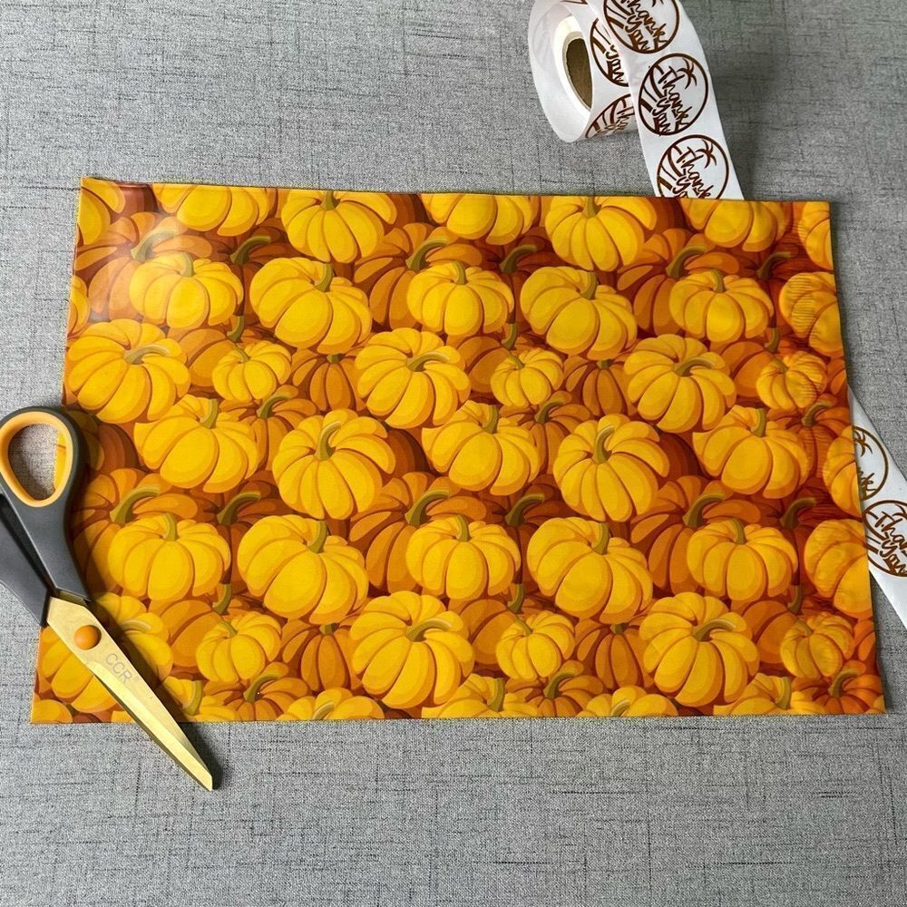 25 Pack Pumpkin Patch Fall Poly Mailers Bulk Designer Shipping Bags Bundle - Picture 3 of 4